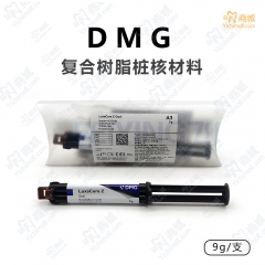 DMG复合双固化树脂桩核材料 注射装9g