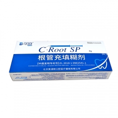 赛濡特/CROOT SP根管充填糊剂 2g/支